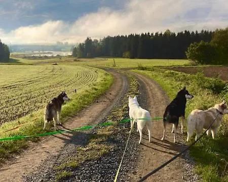 Husky-hof شقة