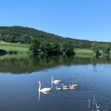 Husky-hof Daire Thanstein